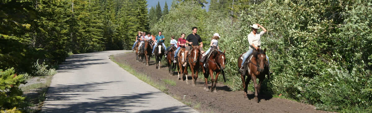 alberta horseback riding trails