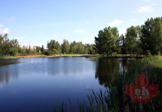 Alberta / Central Alberta Region - Canada / Red Deer ...