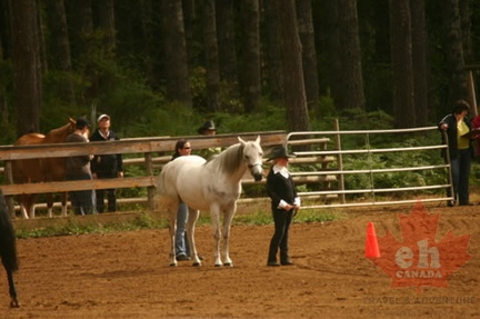 Cowboys and Cowgirls