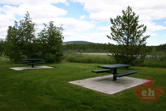 Picnic Tables