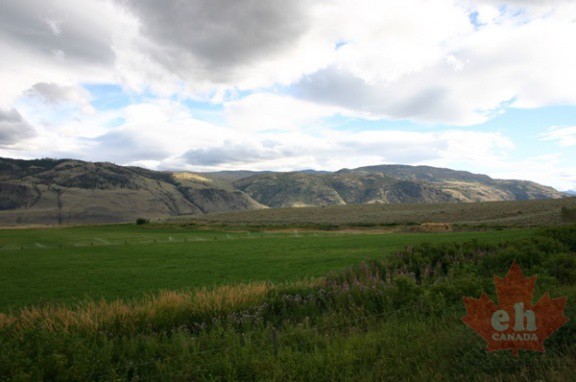 rolling hill views 004