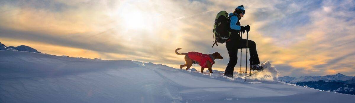 Snowshoeing in BC Canada