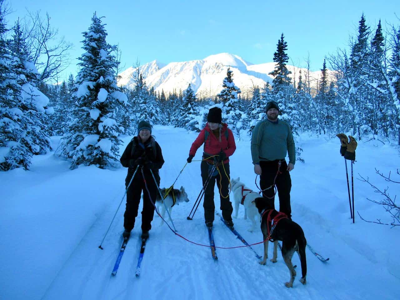 Three people stand on skis with three harnessed dogs on a ski trail in front of a large white mountain.