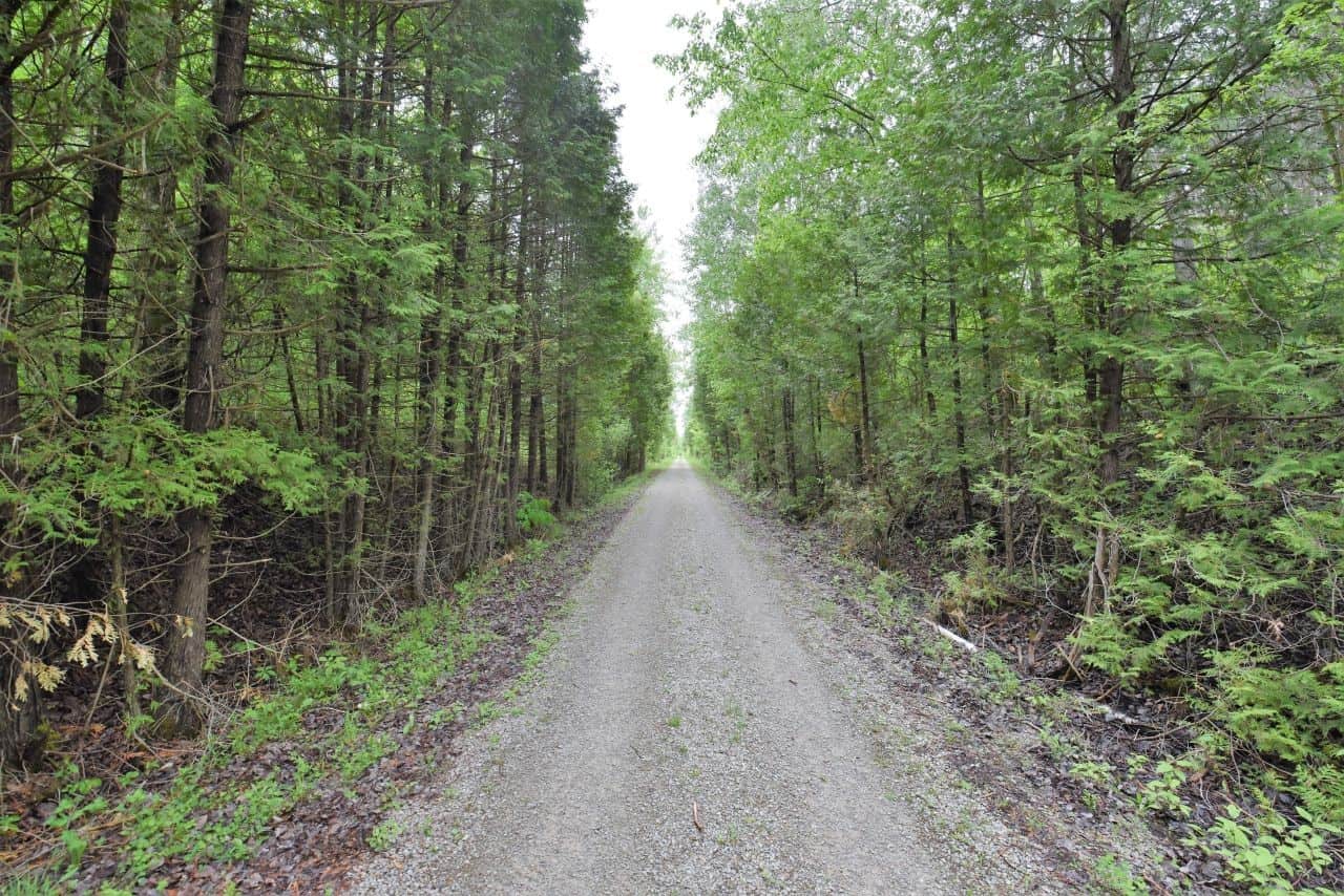 Cataraqui Trail, Trans Canada Trail, Hike Ontario