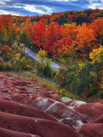 The autumn colours of the Cheltenham Badlands