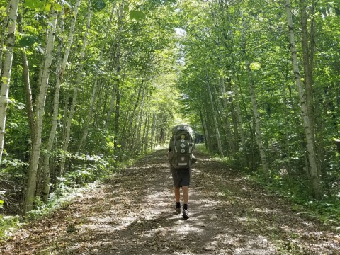 Prince Edward Island's Confederation Trail is busiest during the summer, but fall and spring both have pleasant temperatures and lots colours.