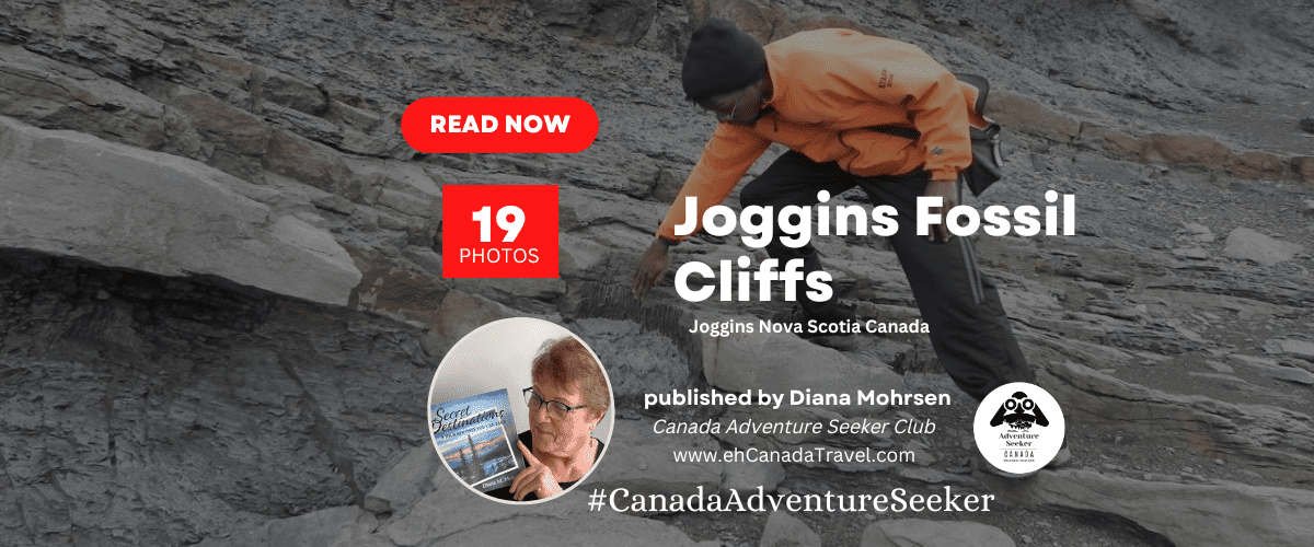 Joggins-Fossil-Centre-Nova-Scotia-Canada