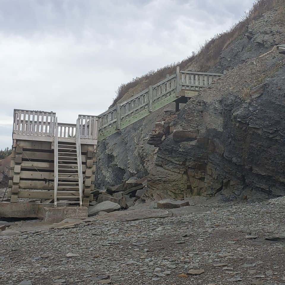 Fossils are exposed as tides wash away bits of earth at the Joggins Cliffs at Joggins Nova Scotia Canada