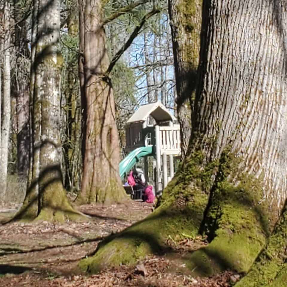 Family fun is easy at Redwood Park. There are several playground structures including a wheelchair-accessible playground.