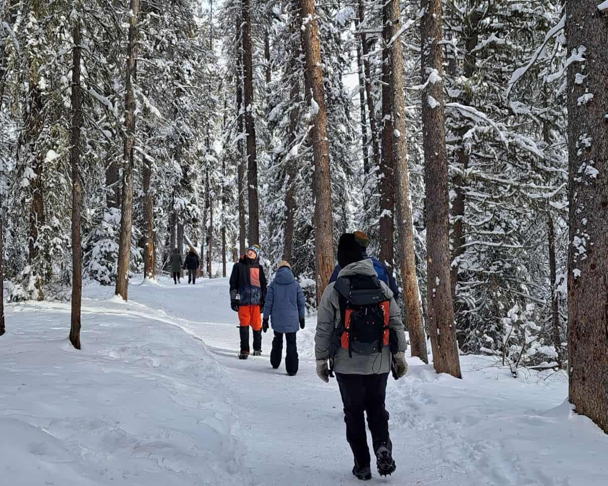 A family hiking Johnston Canyon in the winter admires the tall trees as the trail winds through an alpine forest in the Canadian Rocky Mountains.