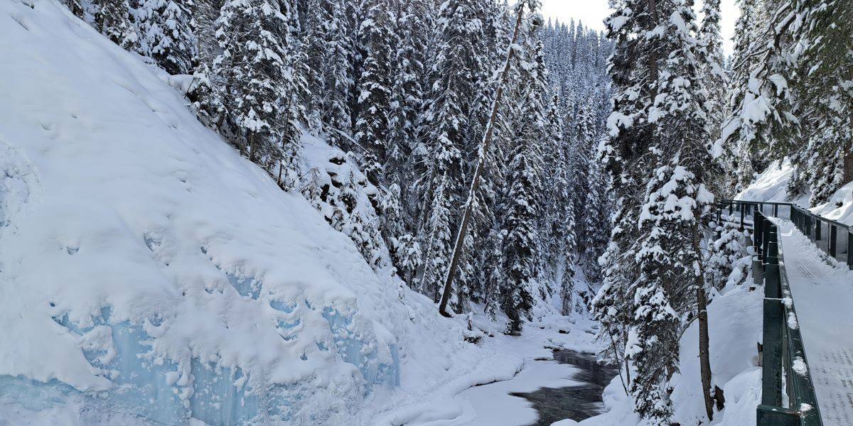 The Johnston Canyon Trail passes by a still flowing stream despite the icy blue waters frozen to the rockface.