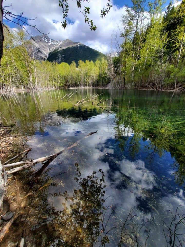 Things To Do In The Crowsnest Pass Alberta Canada. A pond found in the Livingstone Public Land Use Zone in the southwest part of the Crowsnest Pass in Alberta Canada. This area bumps right up to the border of British Columbia and is a great area for random camping and OHV trail riding.