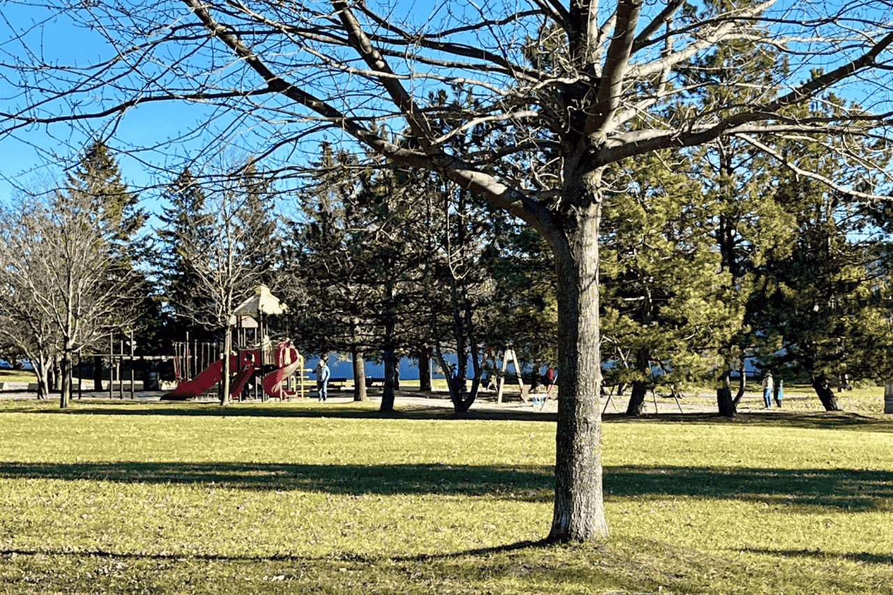 A look at the playground equipment and swings at Walter Baker Park, Kanata, ON.