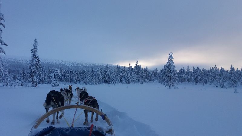 Dog Sledding in the Yukon and NWT is a popular winter adventure.