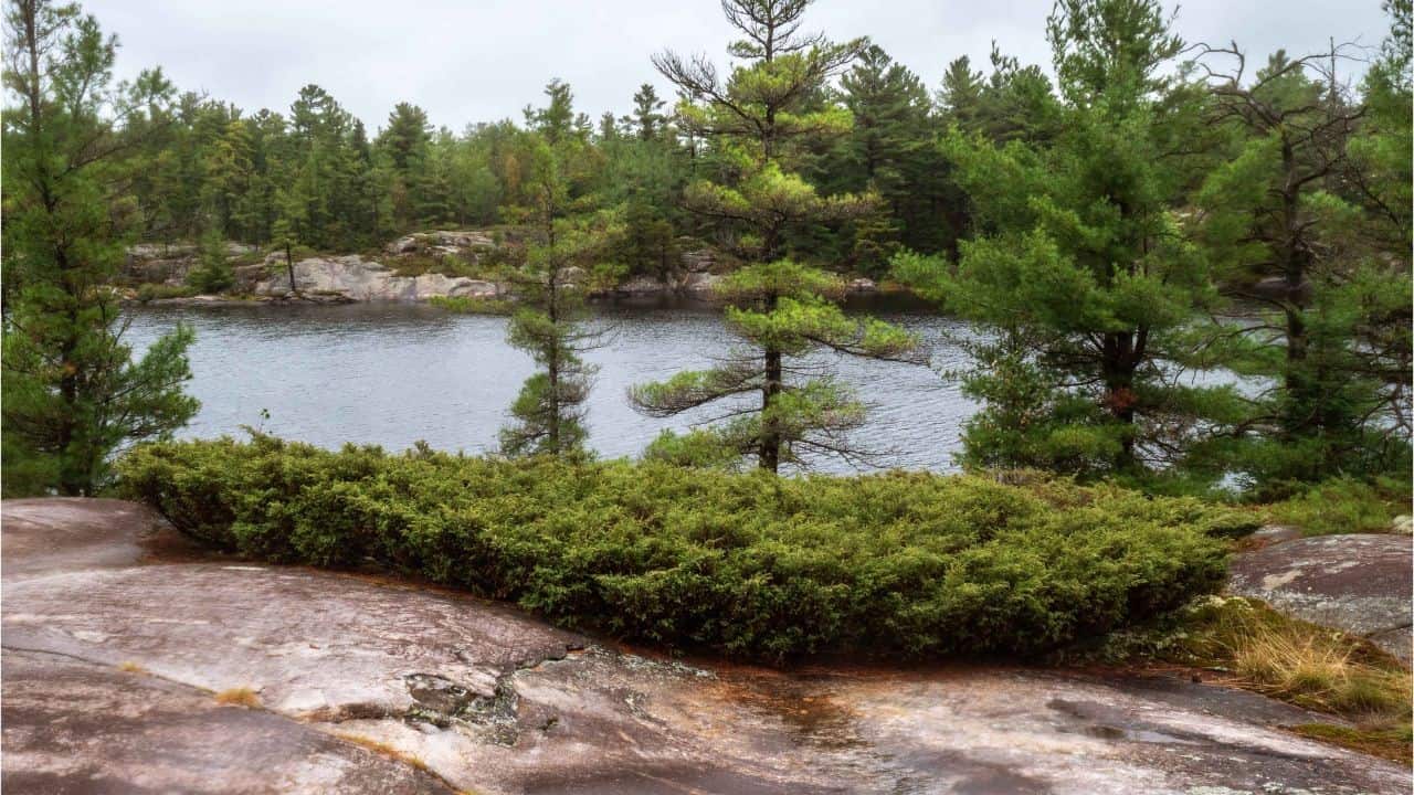 Gut Lake Trail in the Grundy Lake Provincial Park near French River Ontario Canada.