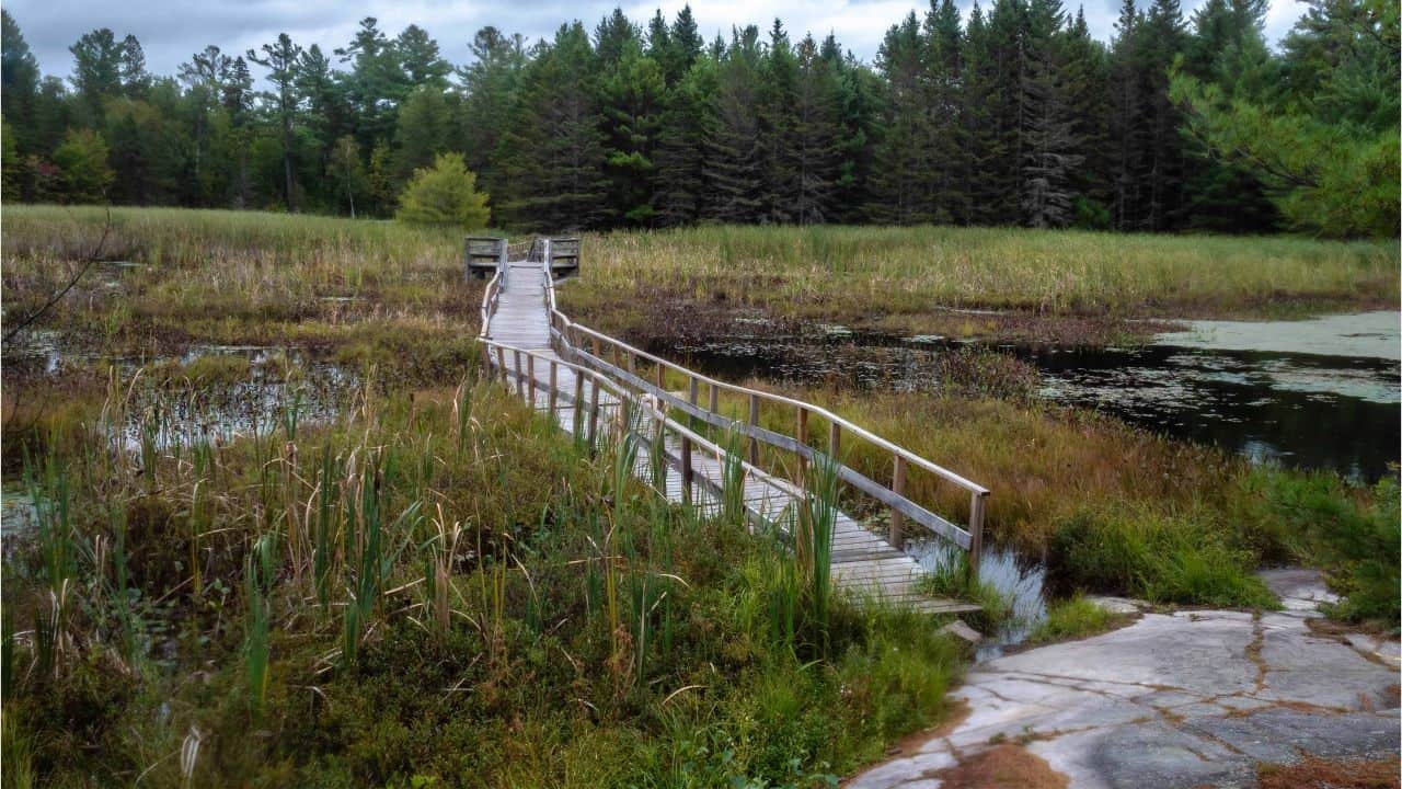 Boardwalk trail near our campsite called Swan Lake in Ontario Canada.