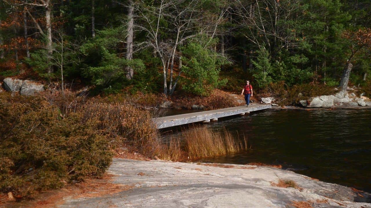 Boardwalk To The Island in the Muskoka Ontario Park called the Hardy Lake Provincial Park.