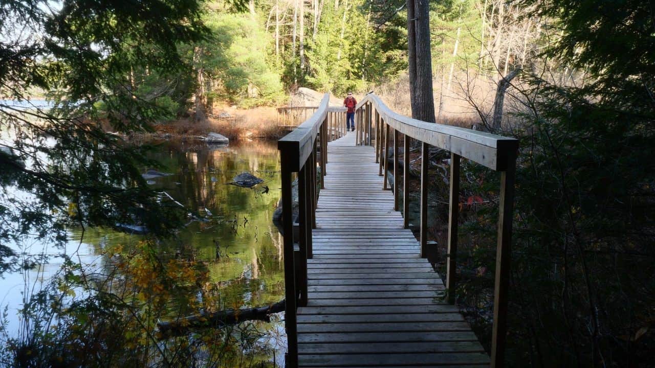 Boardwalk At Other End Of Hardy Lake Photo Courtesy Thomas Worsley