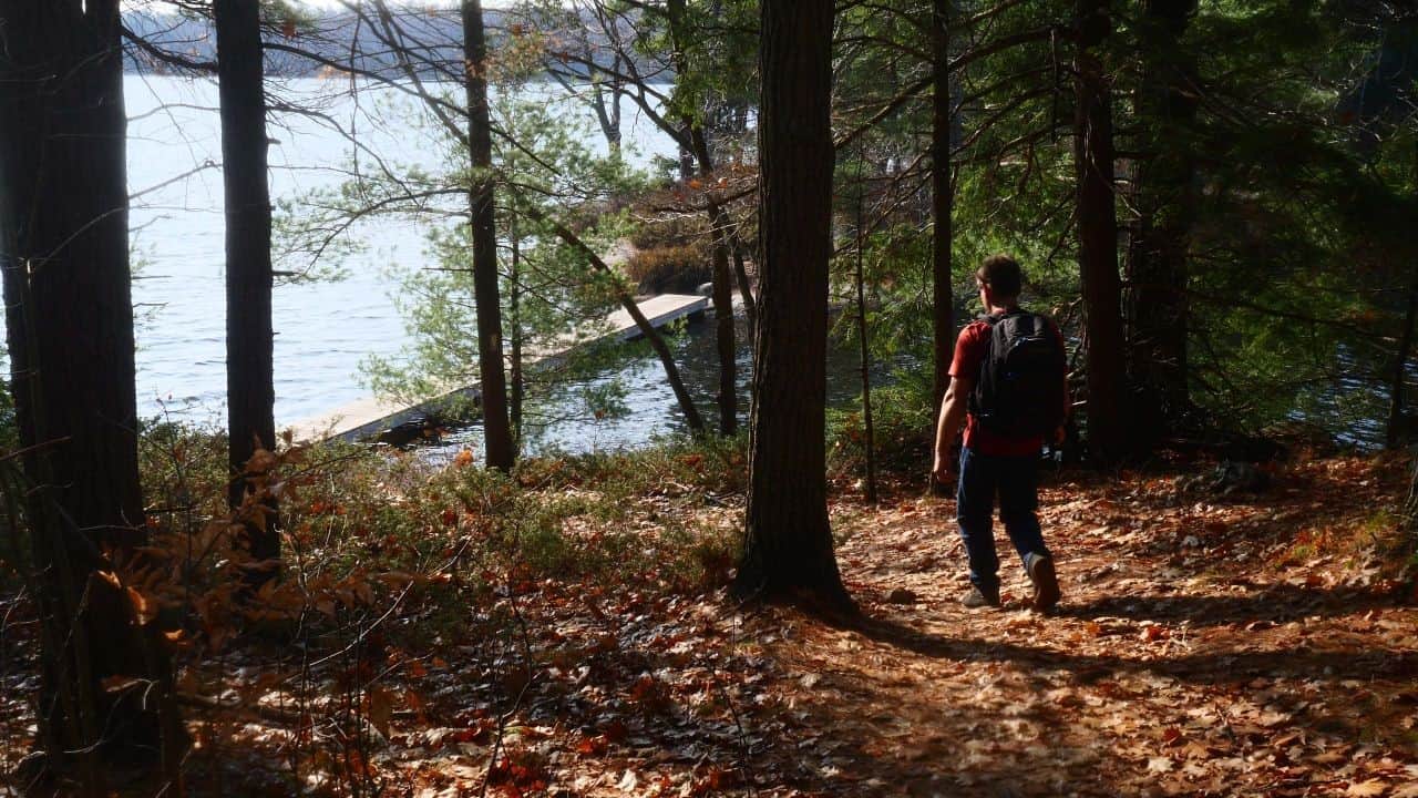 Out Of The Forest Onto The Boardwalk