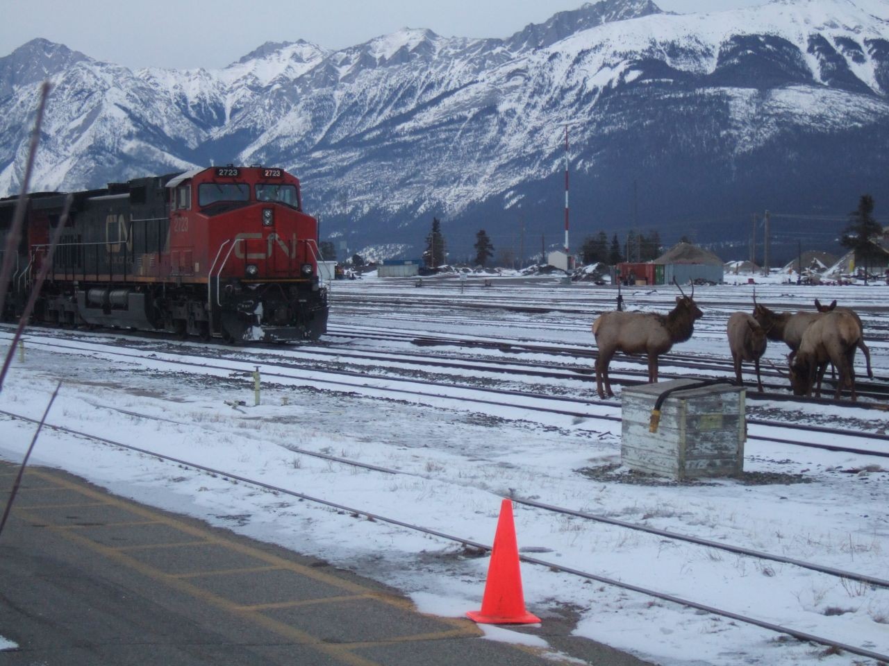 Embracing slow travel is a good idea when traveling across Canada by train because delays can be expected along the way.