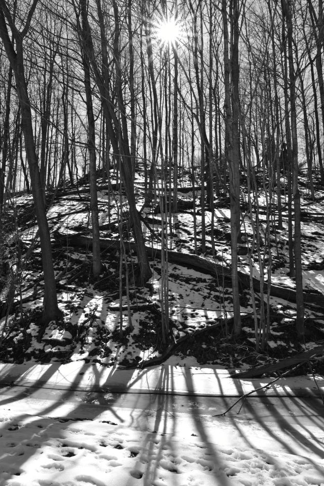 The Harvest Moon Trail in Nova Scotia Canada can be the perfect place to get outside and feel the crunch of snow below your boots, breathe in the cool, crisp, fresh air, and bask in that rare bit of winter sunshine.