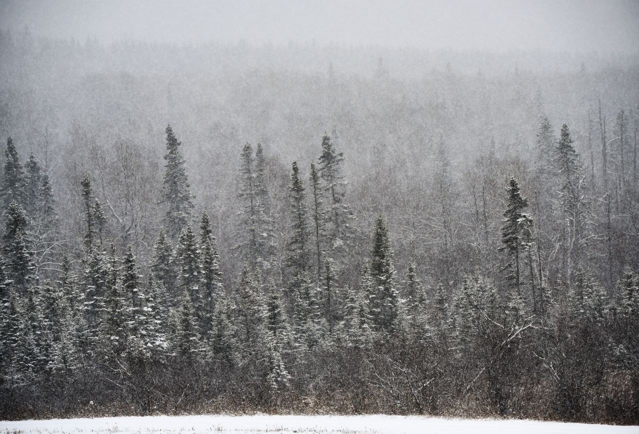 One of Canada's longest snowmobile routes is the 800 km long T'Railway Trail in Newfoundland, which stretches from St. John's to Port-aux-Basques.