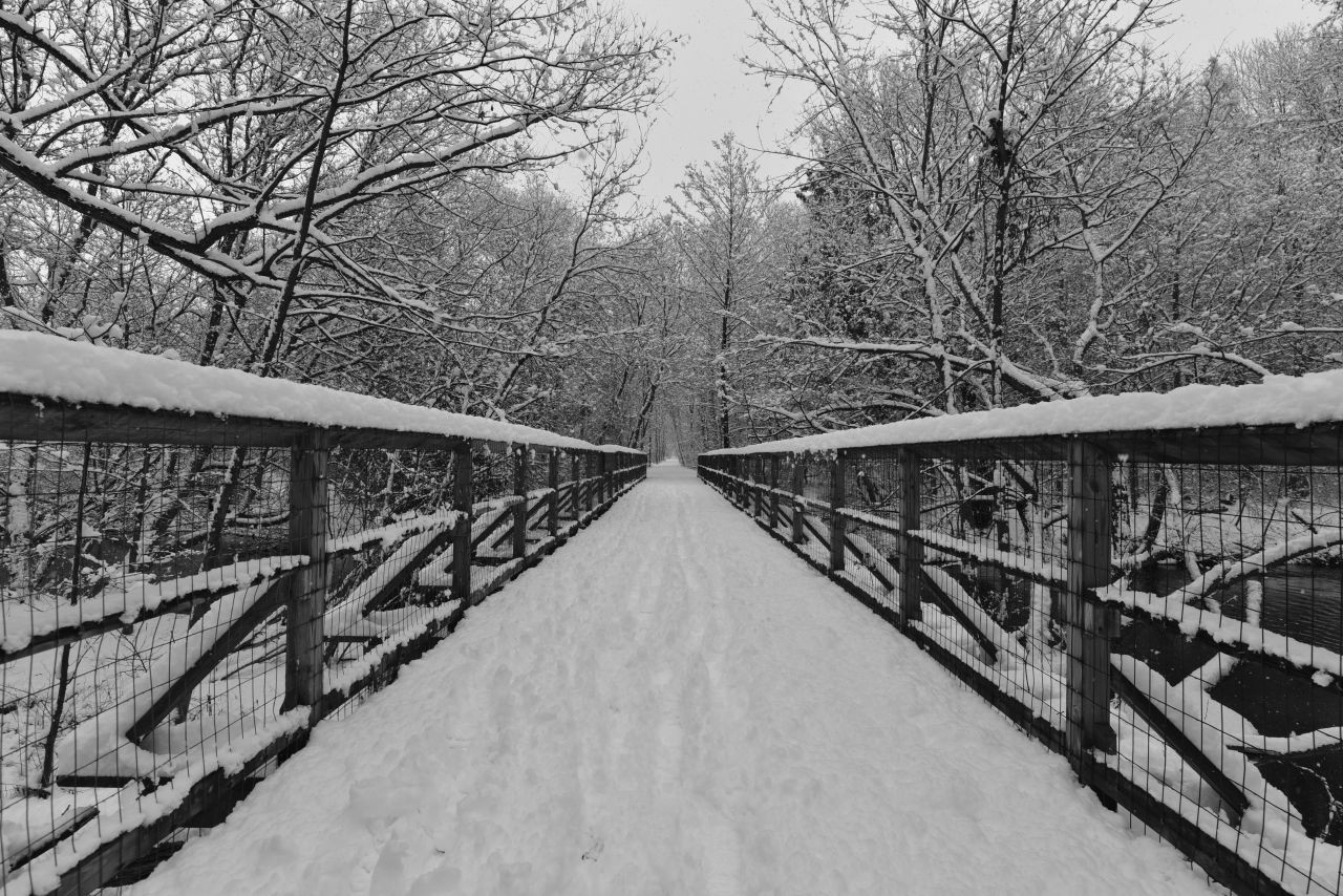 The Wascana Valley Trail is the perfect place to head outside with the family for some winter fun in the heart of Regina Saskatchewan Canada.