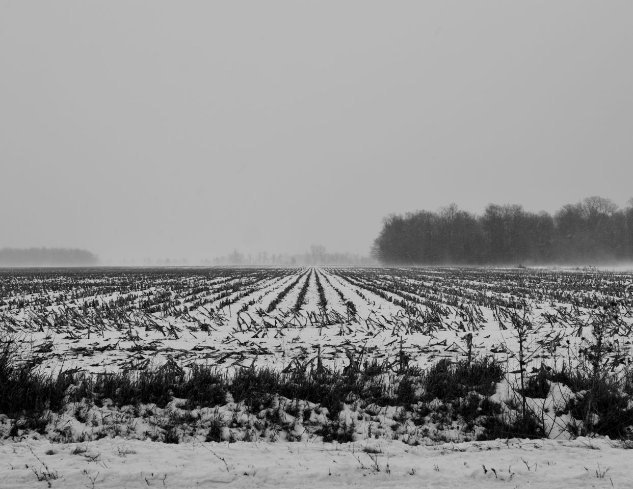 Striking black and white winter landscapes are a highlight along the Trans Canada Trail, aka the Confederation Trail, in PEI making it the perfect place for winter adventures.