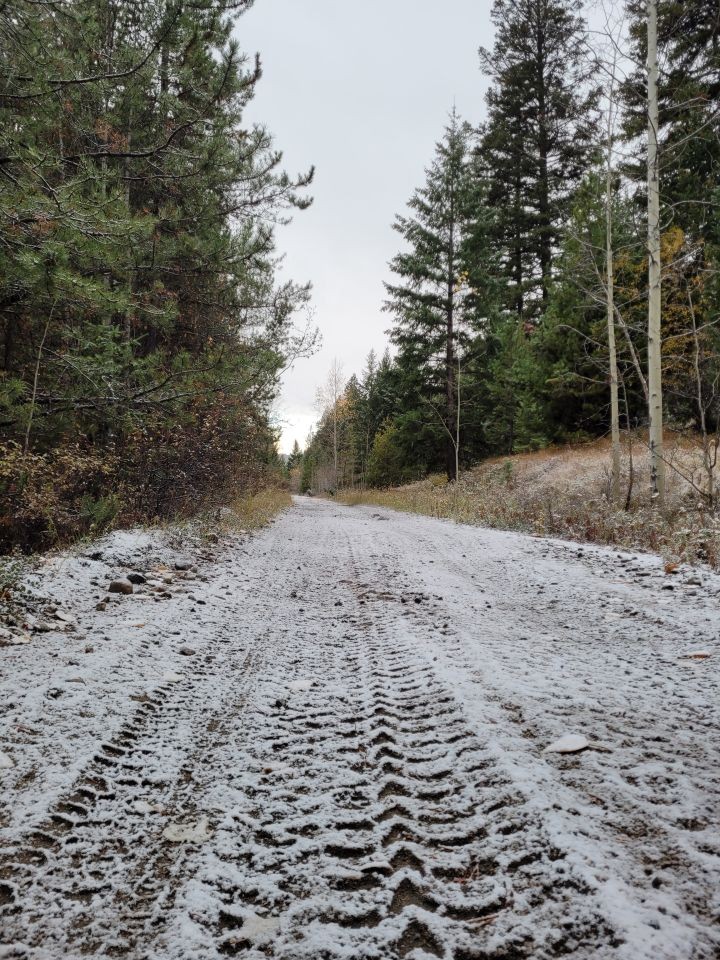 Alberta's Iron Horse Trail AB Canada is a great place to explore in all seasons, especially in winter, when it is open to snowmobiling, skiing, snowshoeing, and walking.