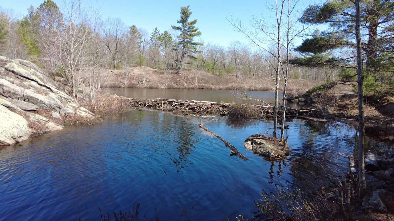 The Famous Beaver Dam Crossing On The Ganaraska in the Queen Elizabeth II Wildlands Provincial Park in Ontario