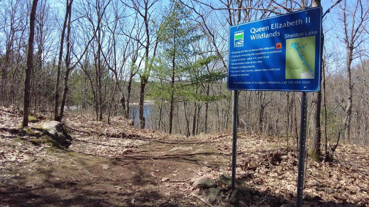 Sheldon Lake Campground in the Queen Elizabeth II Wildlands Provincial Park