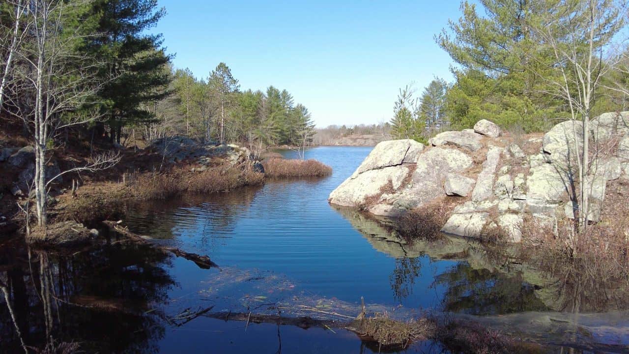 Looking Out From The Beaver Dam as we hiked the trails in the Ontario Provincial Park