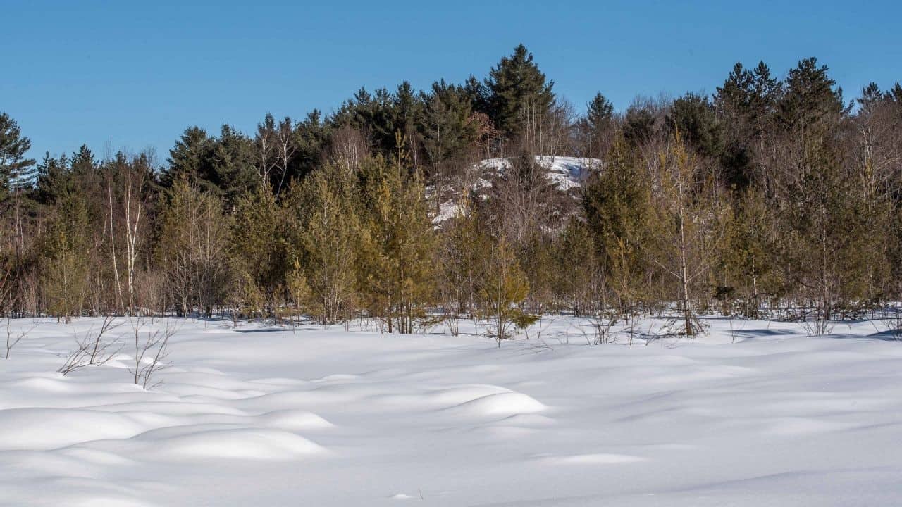 White Untouched Snow while exploring the wilderness backcountry in the Ontario Highlands.