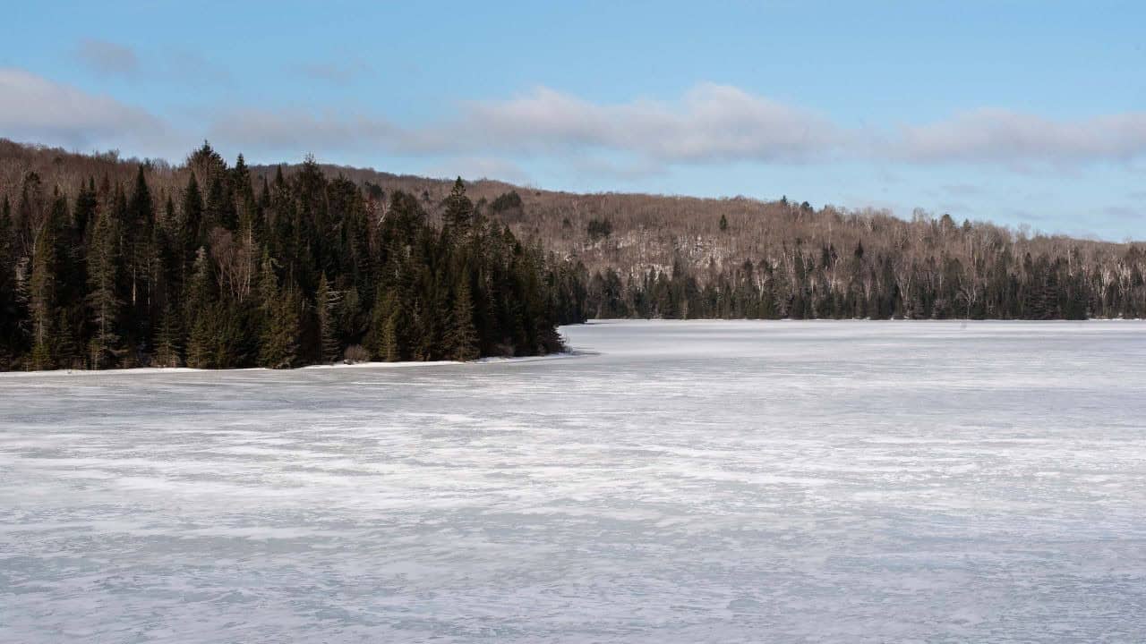 Pre Ice Out Brewer Lake Algonquin Provincial Park Early Spring