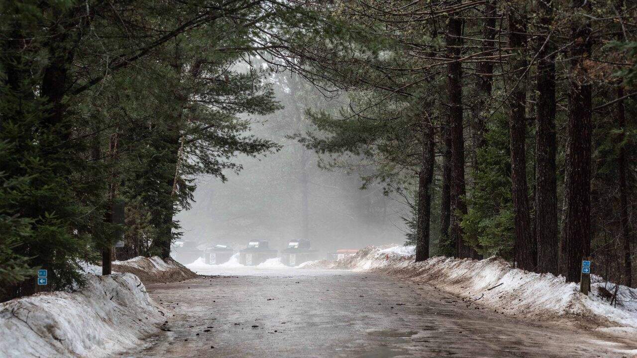 Ontario Winter Yurt Camping. Pine Martens and other wildlife can be seen at the garbage and recycling area at Mew Lake Algonquin Provincial Park