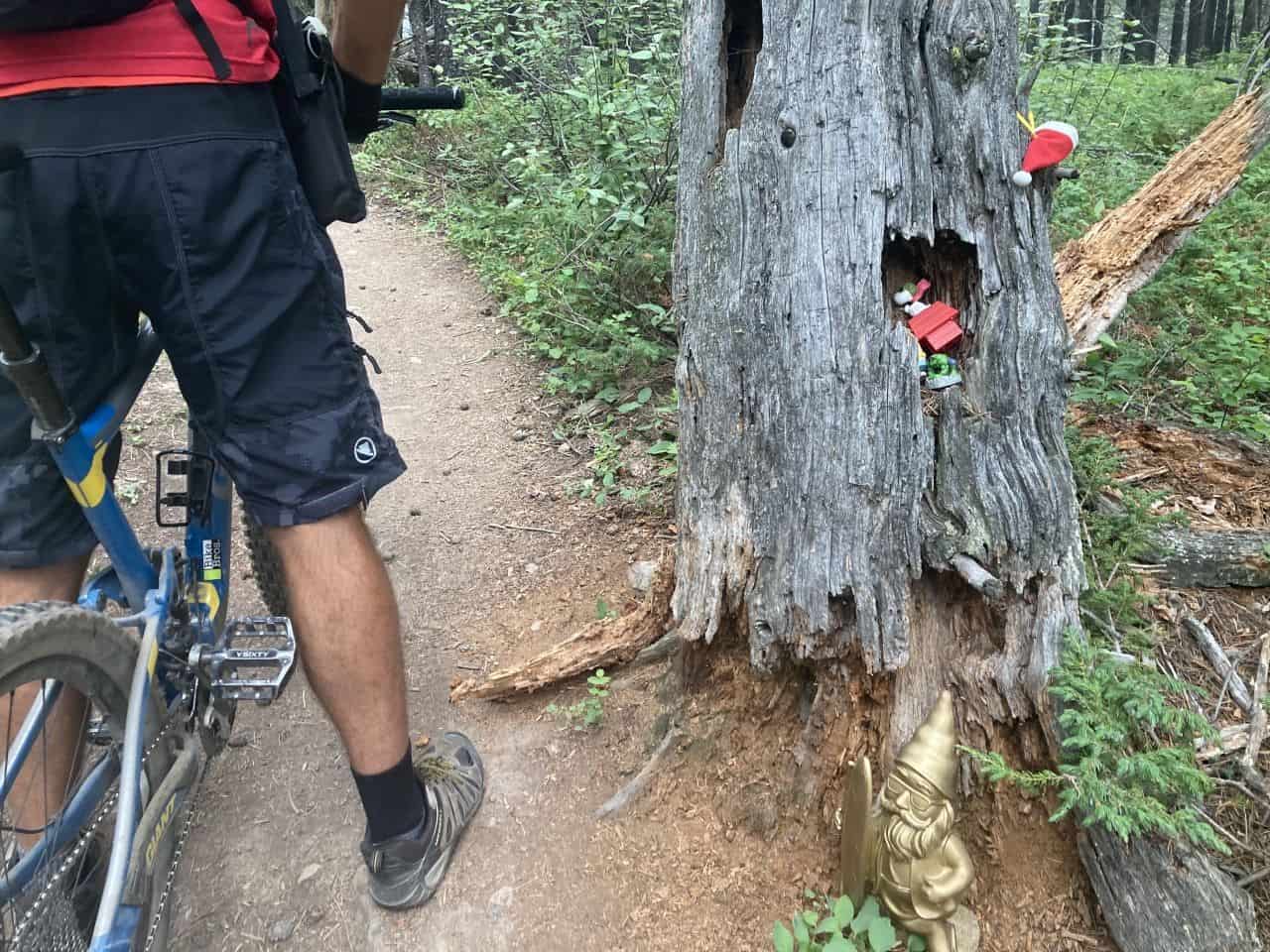 Man standing over mountain bike next to stump with plastic figurines tucked inside.