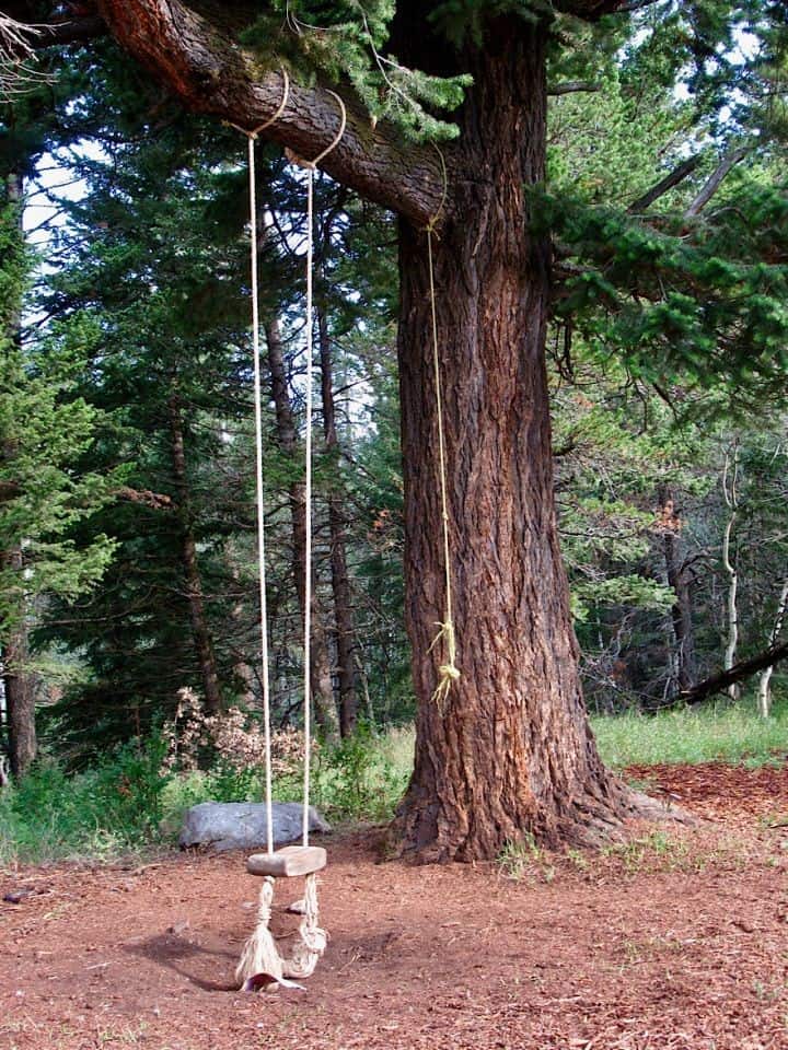 Glamping in the Canadian Rockies - Charmed Resorts Douglas fir tree with long rope swing attached to a thick limb.
