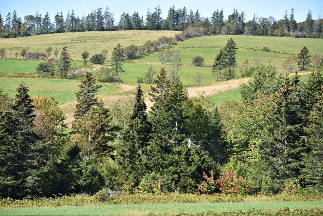 The Confederation Trail in Prince Edward Island Canada takes hikers and cyclists through pleasant pastoral landscapes with gently rolling hills.