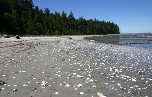 Savary Island - Lund - Sunshine Coast - British Columbia - Canada Parks ...