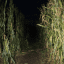 Moonlight Maze at Lester's Farm Market - 22.10.2021