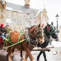 Charlottetown Christmas Festival - 21.11.2021