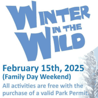 Winter in the Wild Festival at Algonquin Park, Ontario