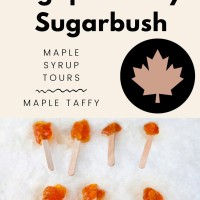 Agape Valley Sugar Bush Maple Syrup Experience 2025 - Ridgeville Ontario Canada - 15.03.2025