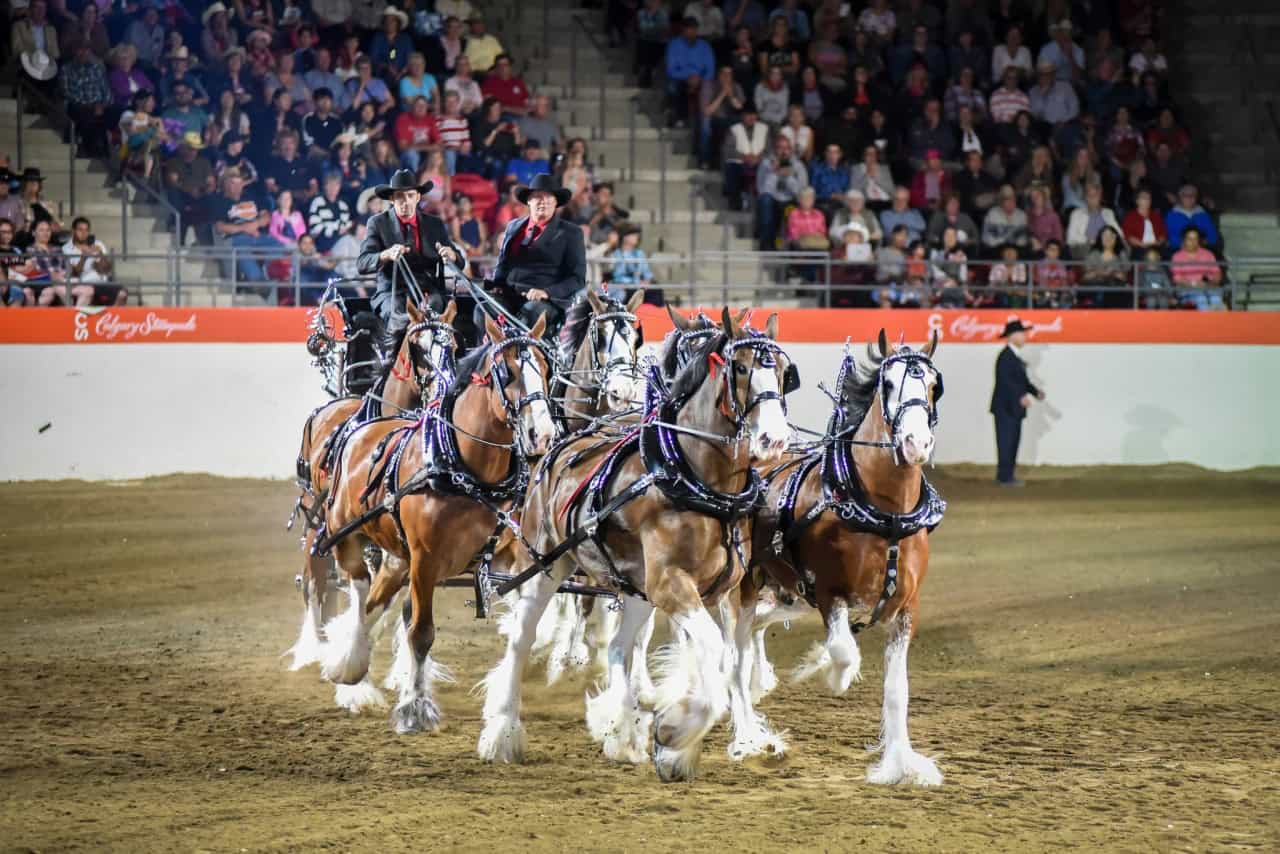 Guests The 2024 Calgary Stampede Calgary Alberta Canada 10.07.2024