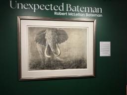 Robert Bateman Exhibit is outstanding at Penticton Art Gallery 2024-09-24