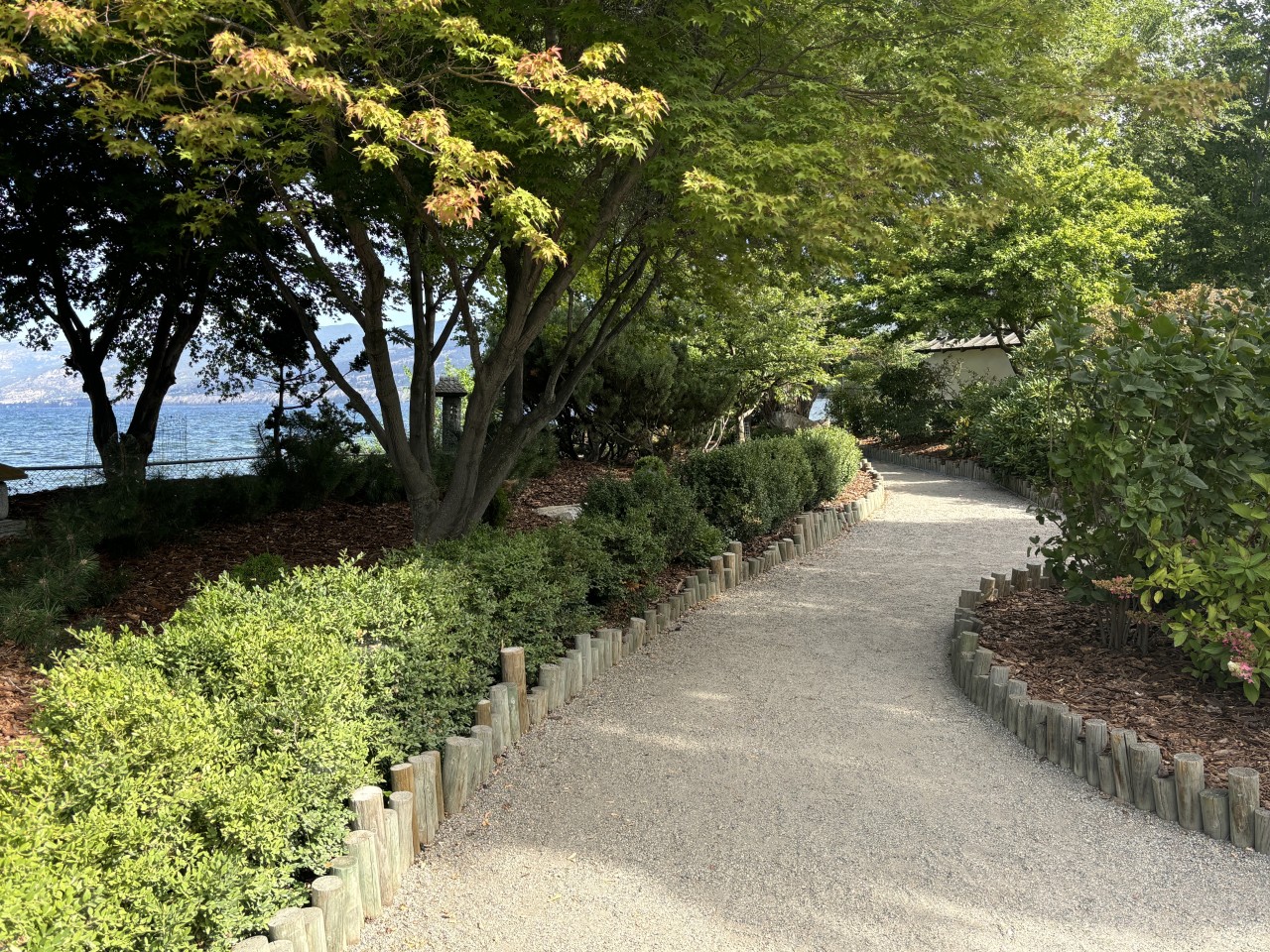 Pathways at Ikeda Japanese Garden 2024-10-05 - Curving walkways, carefully manicured shrubs, beauty wherever you look.