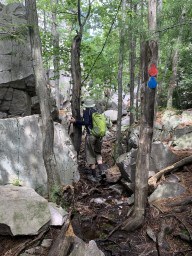 The Trail Markers on The Crack Climb Killarney Ontario Canada