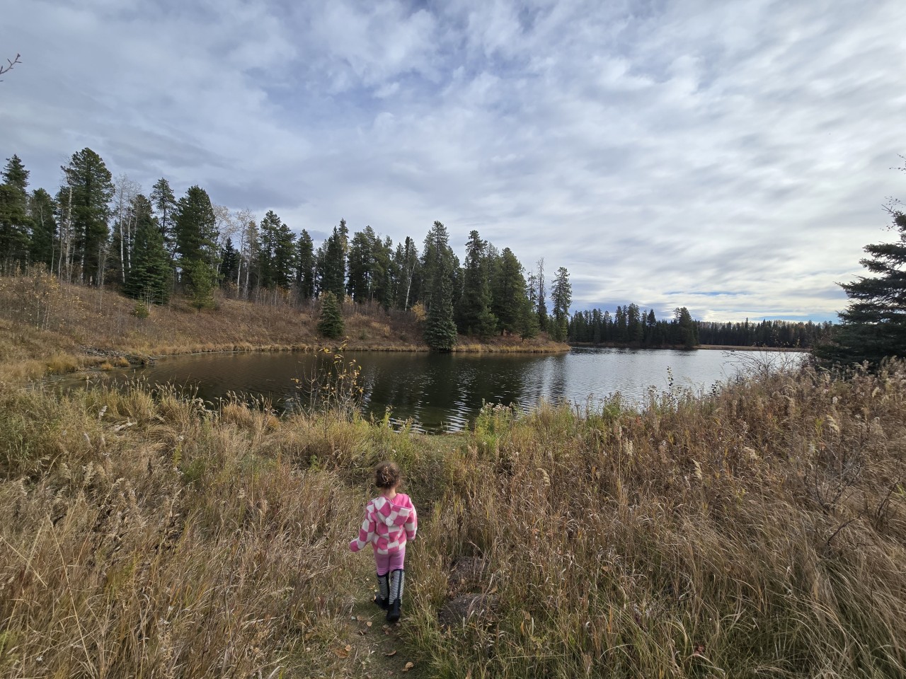 Checking Out the Bays on Beaver Lake  - There are multiple small bays around Beaver Lake. We were walking around checking out the structure in each one