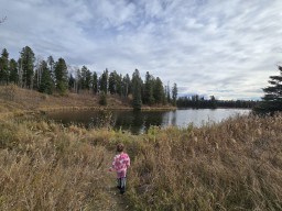 Checking Out the Bays on Beaver Lake 