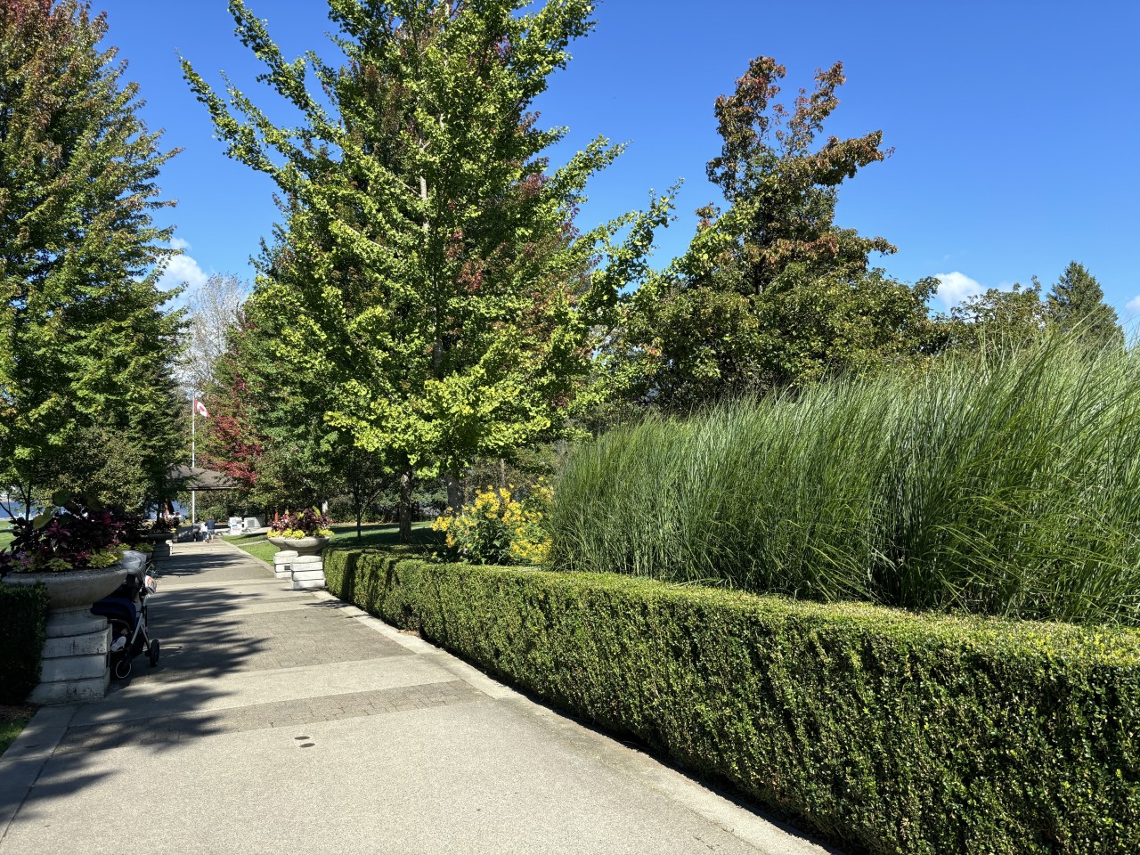 One of the walkways at Rocky Point Park in Port Moody British Columbia 2024-10-21 - Plenty of space for walking at Rocky Point Park. Rocky Point Park is also the beginning of the Shoreline Trail which will take you around to the other side of Burrard Inlet. 